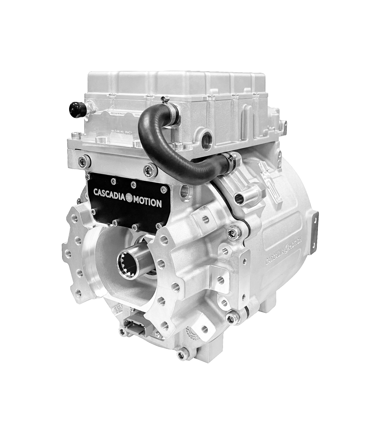 Delimon 242781 - Synchron-Getriebemotor 115/230V 50-60Hz 3U/min - Sinntec -  Zent, 73,50 €